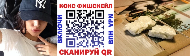 дарнет шоп  Холмск  omg как зайти  КОКАИН FishScale 