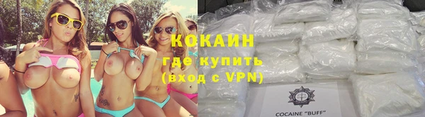 гидра Арсеньев
