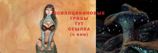 скорость Няндома