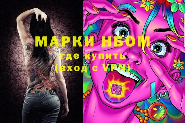 шишки Армянск