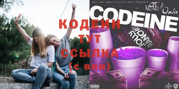 гидра Арсеньев
