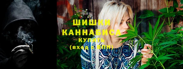 шишки Армянск
