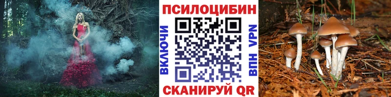 дарк нет Telegram  Холмск  Псилоцибиновые грибы ЛСД 